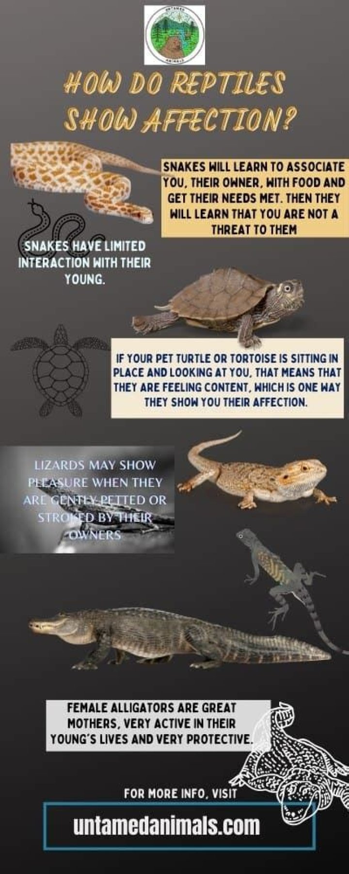 Do reptiles show affection?