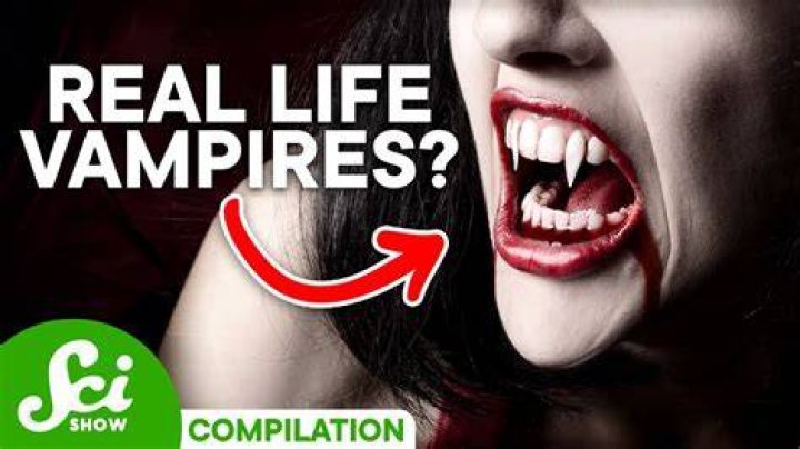 Why are vampires so erotic?